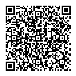 现在这个身体具有的超强恢复和伤势愈合能力又让张铁对自己未来的修炼道路又多了一些特别的想法二维码生成