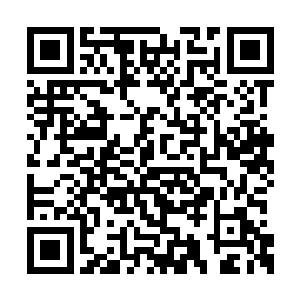 现在这五个人对付起两头巨狼来都感到艰辛无比二维码生成