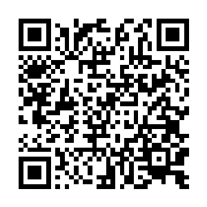 现在这些养殖户将所有的责任全都推到了自己的身上二维码生成