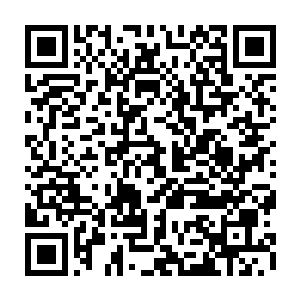 现在这些鱿鱼一个个的似乎都变了颜色成了水下的小灯泡身上开始发起了光来二维码生成