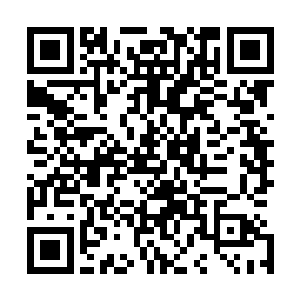 现在这群人里就只有自己亲眼见过她闯过药王谷皇级炼药师二维码生成