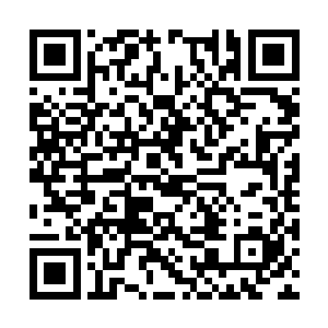 现在这里可不是近海水里有鲨鱼不是什么新鲜事儿二维码生成