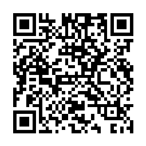 现在连他们自己也不知道怎样与自己的故乡联系了二维码生成