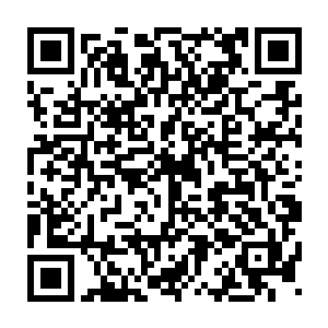 现在那四个回鹘人鹌鹑一样的缩在一起看着魔神一样的高昙晟不敢抬头二维码生成