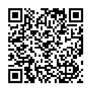 现在郁波和齐蓓蓓的心思都扑在蒂森电梯这个项目上去了二维码生成