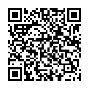 现在革新派蛊惑了全帝国绝大部分民众和底层修仙者的心二维码生成
