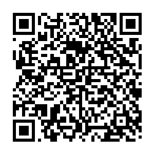 现在龙傲天已经知道了现在玄天大陆上远古种族后裔是不会出现超神兽的二维码生成