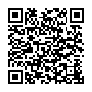 现在龙傲天必须要赶在九幽魔主追上自己之前离开九幽魔狱二维码生成