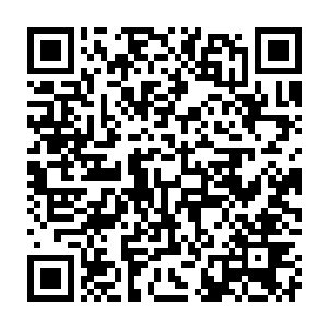 现在龙傲天所在的这条街道在整个周天圣城也绝对算是主要的主干道了二维码生成