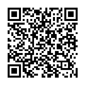 现在龙傲天收取的这些造化液已经足够龙傲天和雷兽所用了二维码生成