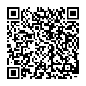 现在龙天麟几个人身上的气息可跟之前的时候自己离开的时候有着天壤之别二维码生成