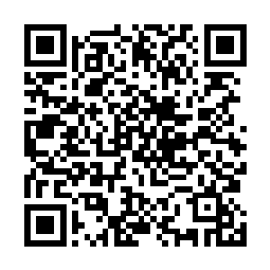 现场所有一切都被我们录像并呈交给当地警方和国际刑警二维码生成