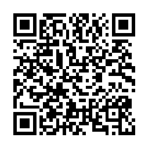 现场所有观众也向史蒂文的母亲致以热烈的掌声二维码生成