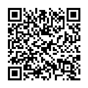 现场的起哄声和欢呼声就已经迫不及待地响起来了二维码生成