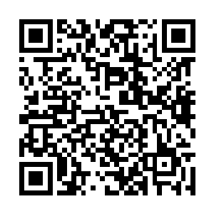 现实世界里有哪个小学生身边一年到头出命案的啊二维码生成