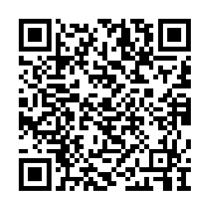 现正是杨晨和上官清还有赵羽段青云和另外几人二维码生成