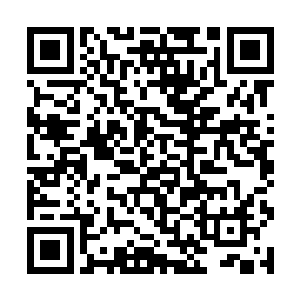 现阶段他们没有把大梦当作一个需要立即处理的威胁二维码生成