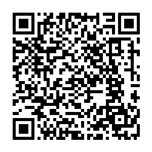 玲珑和林诗语两个人相互搀扶着摇摇晃晃的就如刚从战场上负伤下来一般二维码生成