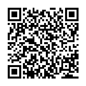 珍妮一开始对于梦露的演绎思路完全是按照金手指主导来的二维码生成
