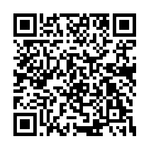 珍妮不知道别的方法派演员都是怎么挑选角色的二维码生成