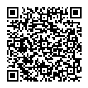 珍妮只恨自己不能把公事带到演艺空间里去办――这是每次她强迫自己办公时最大的怨念二维码生成