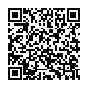 珍妮弗因此也拿到了职业生涯中的第无数个提名二维码生成