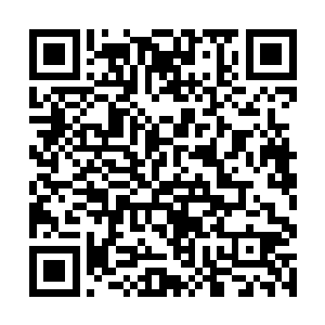 珍妮更是主动提起了自己对于中国大陆的好感和看好二维码生成