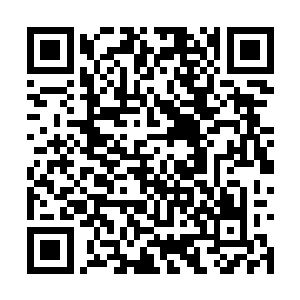 珞雍佣兵团这些人实力最差的魏晨都是成罡境高手二维码生成