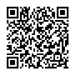 珠江前往苏城的航班已经准时的落在了苏城机场二维码生成