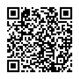 班上的很多小姑娘都是惧怕安仁这个混蛋的打才不敢不去的二维码生成