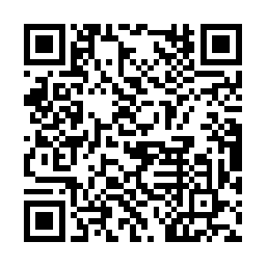 琅琊众多开天境已经深刻认识到杨开实力之强大了二维码生成