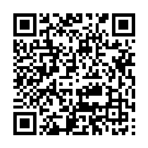 琅琊地灵还不敢派遣琅琊派中的毛民蛊仙到哪里去二维码生成