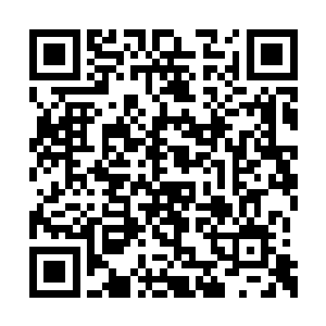 理应发展出一种更高层次的道德和宇宙社会法则二维码生成