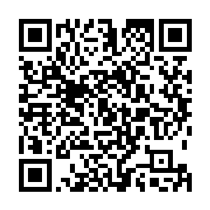 琢磨着难道是都知道这位在无量一道说话没分量还是怎的二维码生成