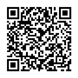 琥珀也在他们后门暗暗跟随着他们回到了河滩城二维码生成