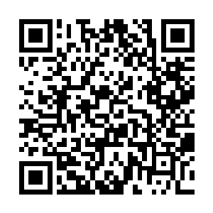 琥珀色的眼眸在夜晚柔和的灯光之中泛着温暖的光芒二维码生成