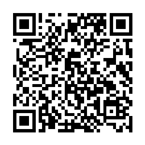 琳琅看着笑容温婉无害的如同阳光下的小雏菊的容锦二维码生成