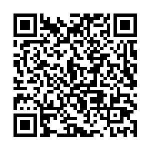 琴儿等几个丫头顿时像得到了世界上至高的奖励一样二维码生成