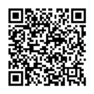 琴瑟色和早已摘了面纱的公孙绿竹大眼瞪小眼的呆在了原地二维码生成