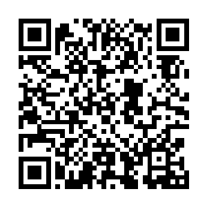 琴瑟色看了看个人面板上状态栏那已经过去大半的倒计时二维码生成