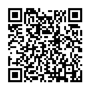 琼华天宫之人可以视神谕区域所有地方势力如无物二维码生成