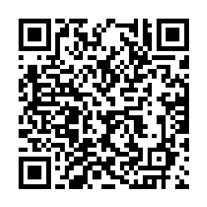 瑞安和几名侍者赶紧簇拥着嘉宝想要立即离开现场二维码生成