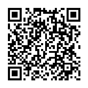 瑶光仙子等人手中交易到了星萤虫群的培养心得二维码生成