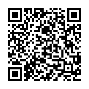 甄婕也注意到了龙子腾在饭桌上对自己的态度格外殷勤而周到二维码生成
