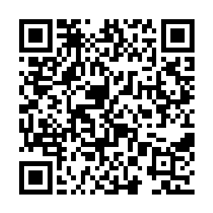 甄敬才想不通如果陆为民真的有什么特别的背景二维码生成