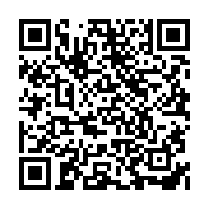 甚至不论姿色还是实力都并不比自家少爷差多少二维码生成