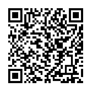 甚至世界上价格最高的拍卖品即将开始被竞拍的信号二维码生成