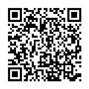 甚至为了争夺最佳的逃离航线而互相撞击在一起二维码生成