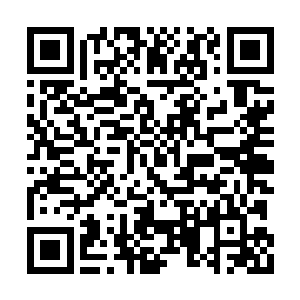 甚至之后多次会议都没有再让我白角族高层参加二维码生成