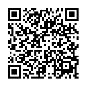 甚至于关于她父母的容貌和性格都形容的十分详尽二维码生成